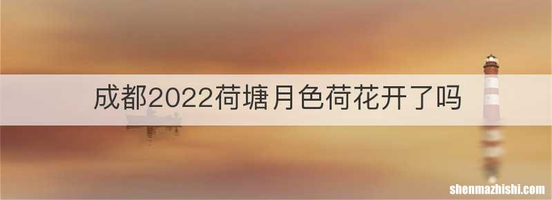 成都2022荷塘月色荷花开了吗