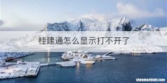 桂建通怎么显示打不开了