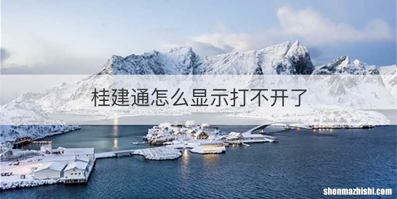 桂建通怎么显示打不开了