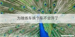 为啥练车换个车不会开了