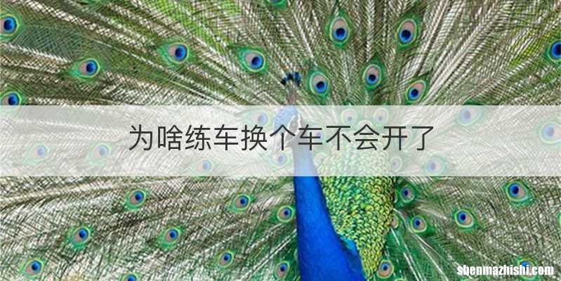 为啥练车换个车不会开了