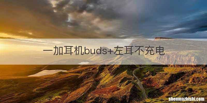 一加耳机buds+左耳不充电