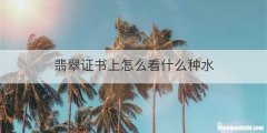 翡翠证书上怎么看什么种水