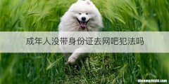 成年人没带身份证去网吧犯法吗