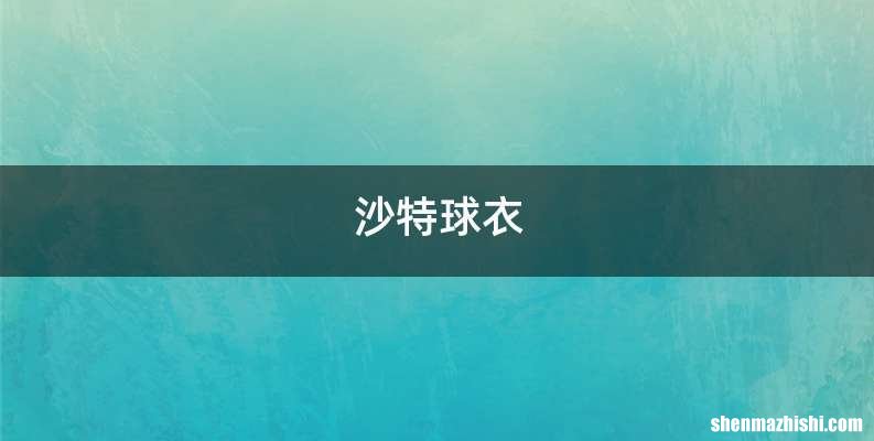 沙特球衣