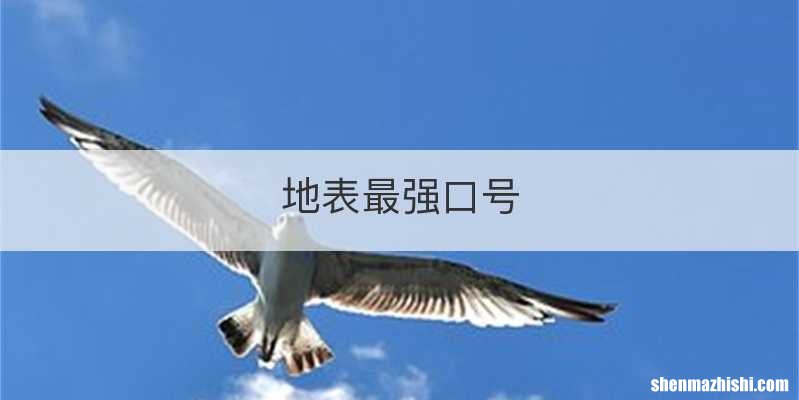 地表最强口号