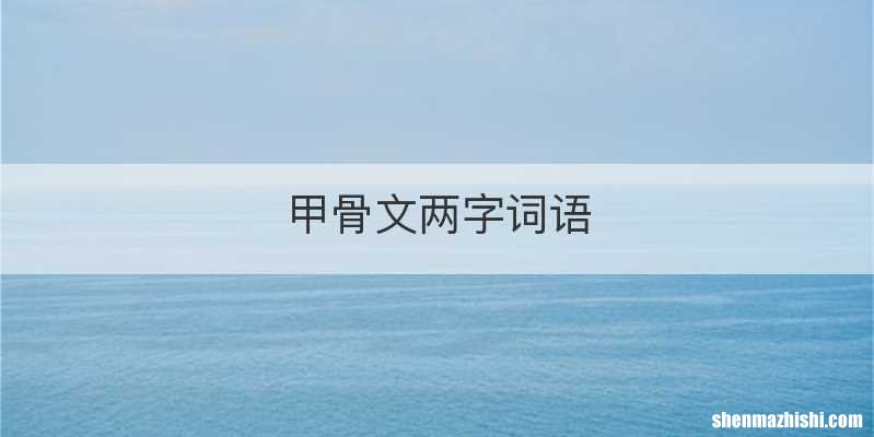 甲骨文两字词语