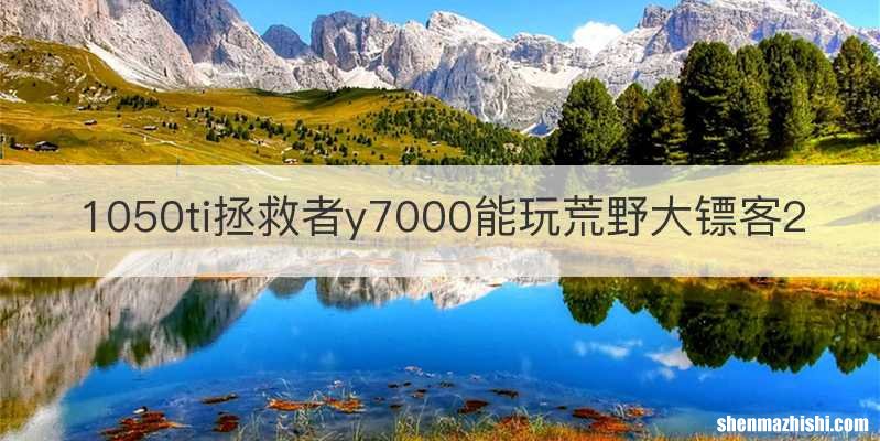 1050ti拯救者y7000能玩荒野大镖客2