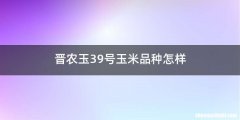 晋农玉39号玉米品种怎样