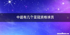 中超有几个亚冠资格球员