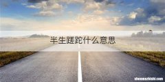 半生蹉跎什么意思