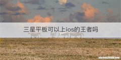 三星平板可以上ios的王者吗