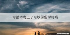 专插本考上了可以保留学籍吗