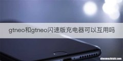 gtneo和gtneo闪速版充电器可以互用吗