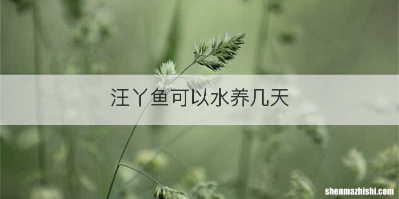 汪丫鱼可以水养几天
