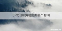 小太阳和黄桃鹦鹉哪个聪明