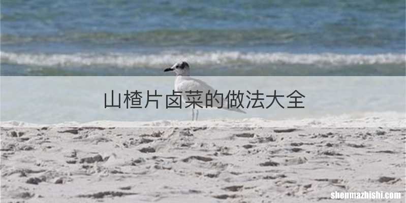 山楂片卤菜的做法大全