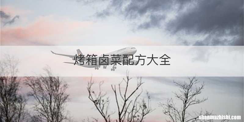 烤箱卤菜配方大全