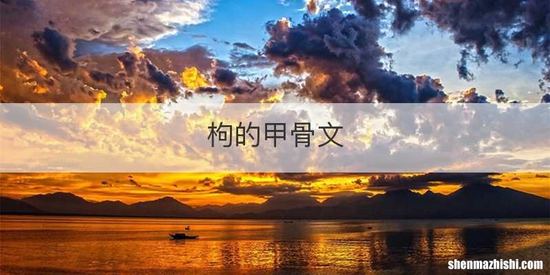 枸的甲骨文