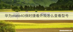 华为mate40保时捷看外观怎么查看型号
