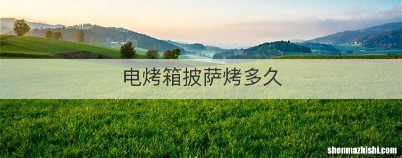 电烤箱披萨烤多久