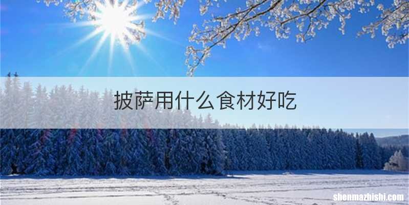 披萨用什么食材好吃
