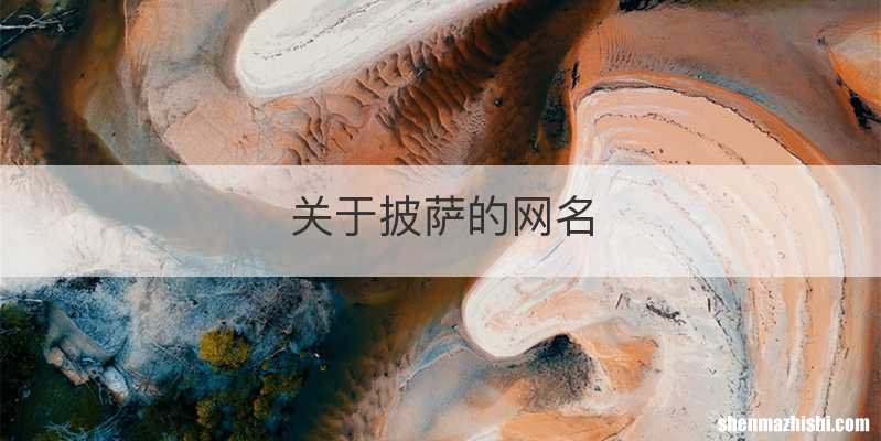 关于披萨的网名