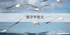 飘字甲骨文