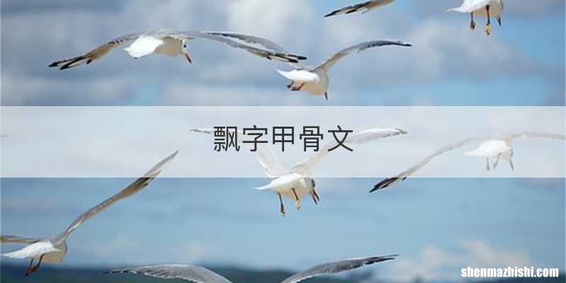 飘字甲骨文