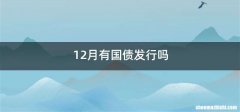 12月有国债发行吗