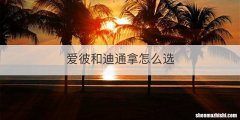 爱彼和迪通拿怎么选