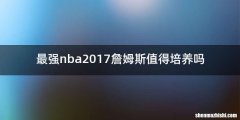 最强nba2017詹姆斯值得培养吗