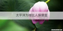 太平洋为啥比人保便宜