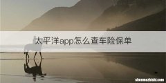 太平洋app怎么查车险保单