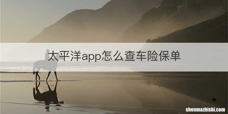 太平洋app怎么查车险保单