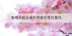 象棋马能走遍平棋盘任意位置吗