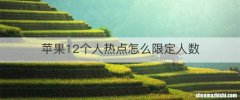 苹果12个人热点怎么限定人数