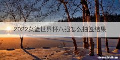 2022女篮世界杯八强怎么抽签结果