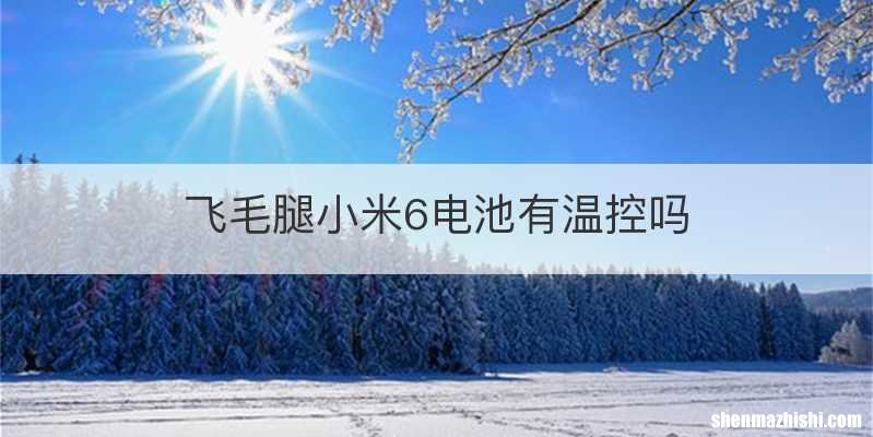 飞毛腿小米6电池有温控吗