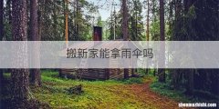 搬新家能拿雨伞吗
