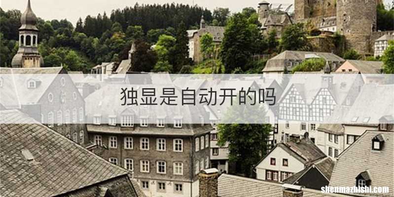 独显是自动开的吗