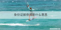 身份证被停用是什么意思