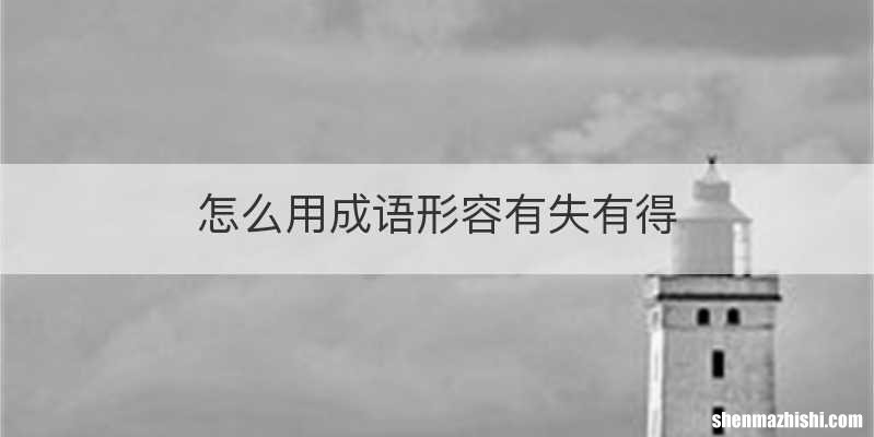怎么用成语形容有失有得