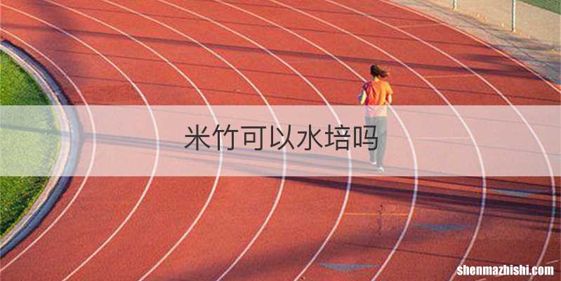 米竹可以水培吗