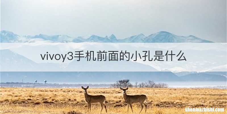 vivoy3手机前面的小孔是什么