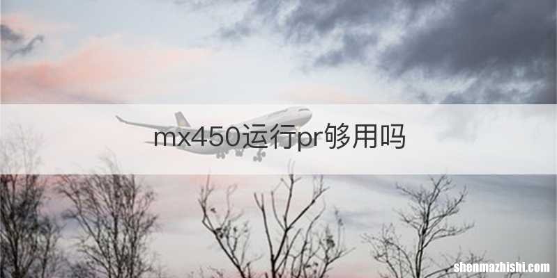 mx450运行pr够用吗