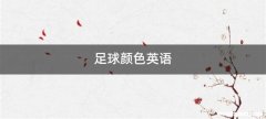 足球颜色英语