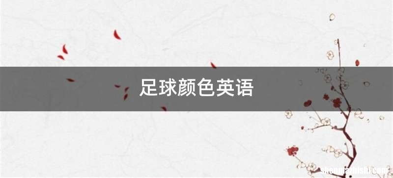 足球颜色英语