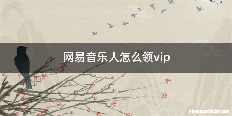 网易音乐人怎么领vip