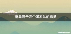 皇马属于哪个国家队的球员